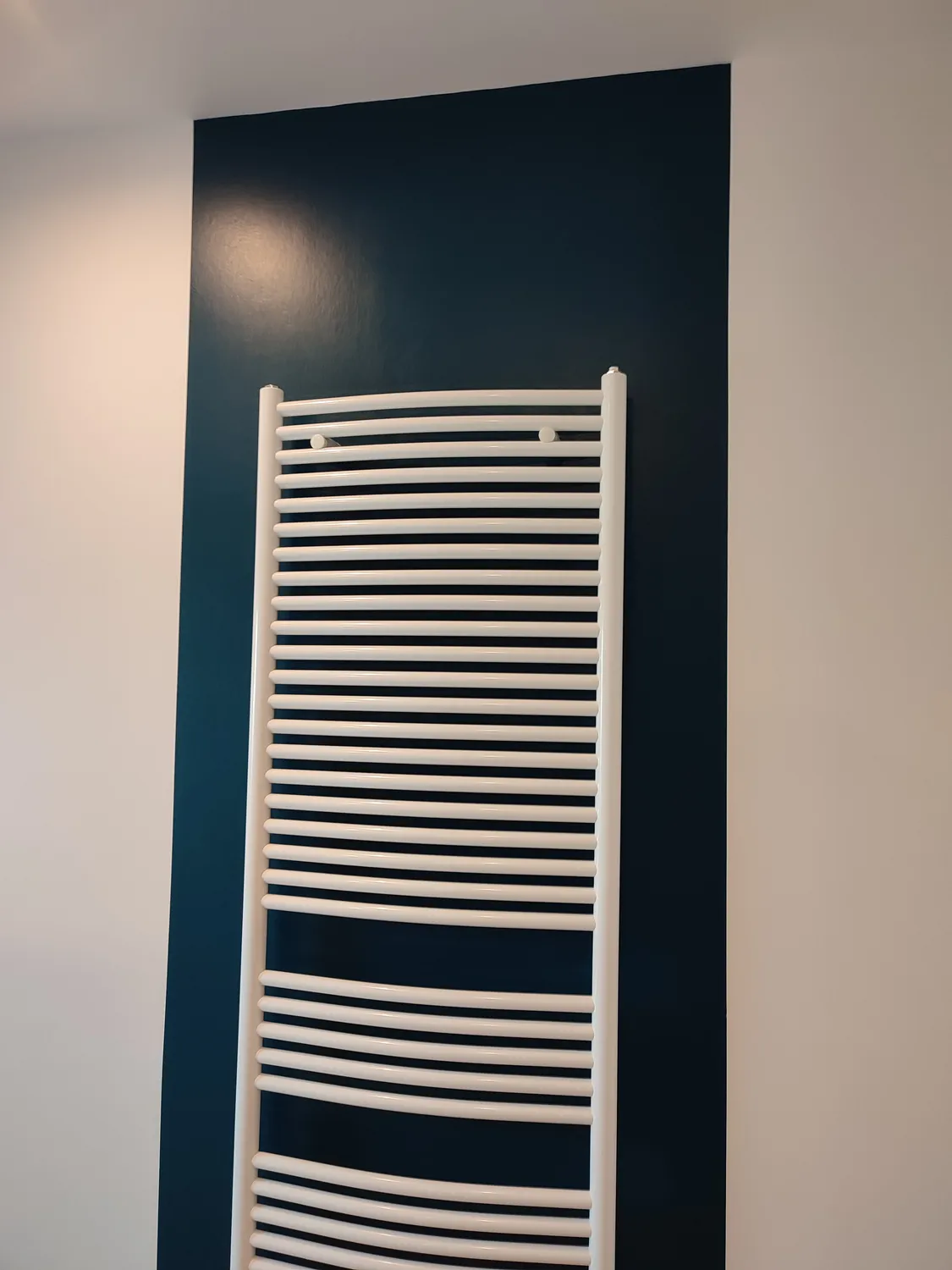 peinture interieur saint pierre des nids